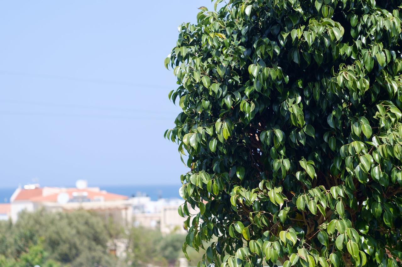 Chill And Relax In A Home With Pool Near The Beach Almirida Buitenkant foto